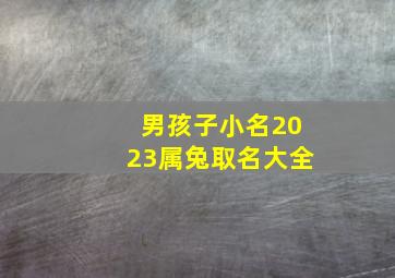 男孩子小名2023属兔取名大全