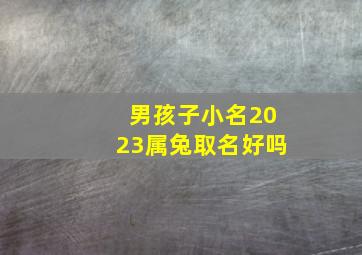 男孩子小名2023属兔取名好吗