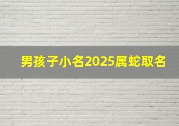 男孩子小名2025属蛇取名