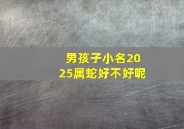 男孩子小名2025属蛇好不好呢