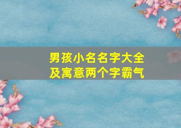 男孩小名名字大全及寓意两个字霸气