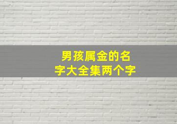 男孩属金的名字大全集两个字