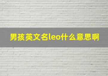 男孩英文名leo什么意思啊