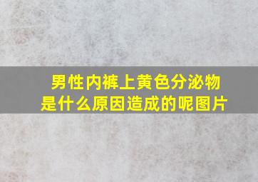 男性内裤上黄色分泌物是什么原因造成的呢图片