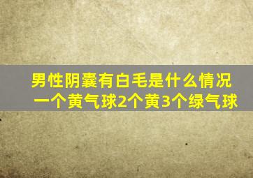 男性阴囊有白毛是什么情况一个黄气球2个黄3个绿气球