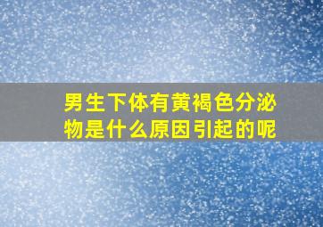 男生下体有黄褐色分泌物是什么原因引起的呢