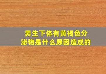 男生下体有黄褐色分泌物是什么原因造成的