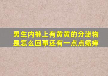 男生内裤上有黄黄的分泌物是怎么回事还有一点点瘙痒