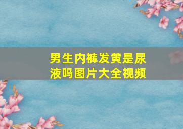 男生内裤发黄是尿液吗图片大全视频