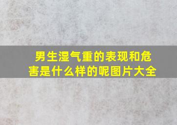 男生湿气重的表现和危害是什么样的呢图片大全