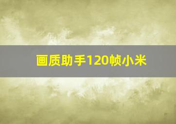 画质助手120帧小米