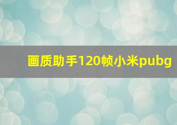 画质助手120帧小米pubg