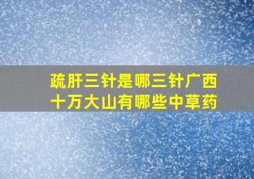 疏肝三针是哪三针广西十万大山有哪些中草药