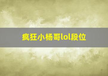 疯狂小杨哥lol段位