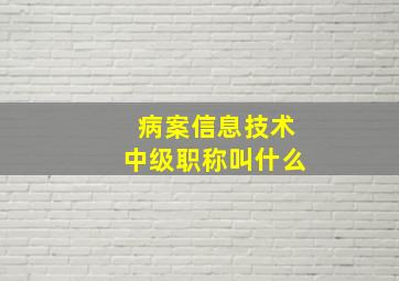 病案信息技术中级职称叫什么