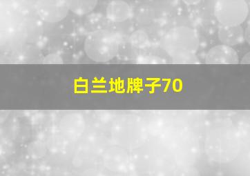 白兰地牌子70