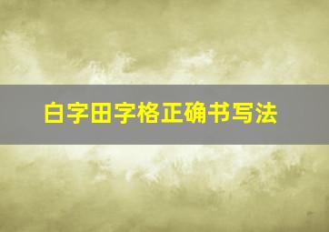 白字田字格正确书写法