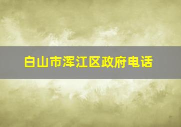 白山市浑江区政府电话