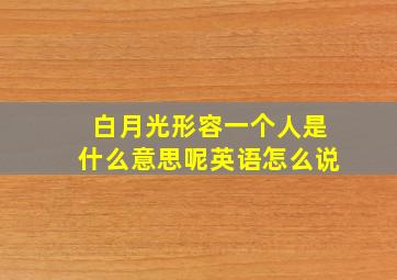 白月光形容一个人是什么意思呢英语怎么说