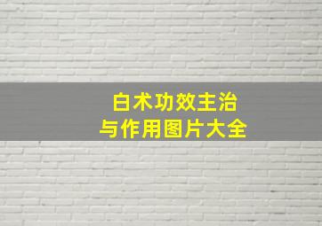 白术功效主治与作用图片大全