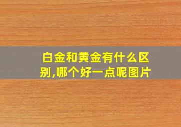 白金和黄金有什么区别,哪个好一点呢图片