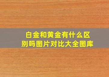 白金和黄金有什么区别吗图片对比大全图库