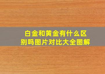 白金和黄金有什么区别吗图片对比大全图解