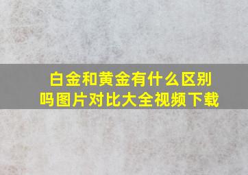 白金和黄金有什么区别吗图片对比大全视频下载