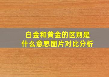 白金和黄金的区别是什么意思图片对比分析