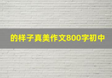 的样子真美作文800字初中