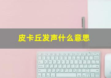 皮卡丘发声什么意思