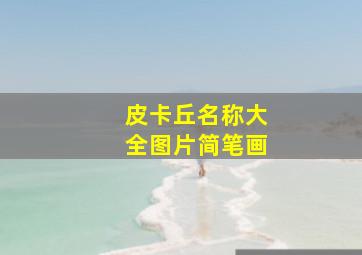 皮卡丘名称大全图片简笔画