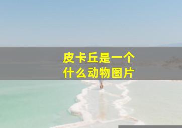 皮卡丘是一个什么动物图片