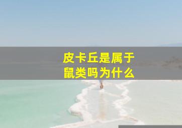 皮卡丘是属于鼠类吗为什么