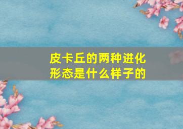 皮卡丘的两种进化形态是什么样子的