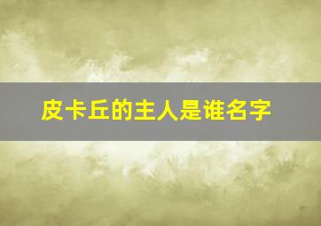 皮卡丘的主人是谁名字