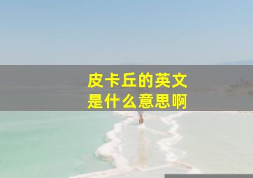 皮卡丘的英文是什么意思啊