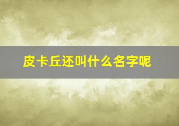 皮卡丘还叫什么名字呢