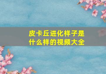 皮卡丘进化样子是什么样的视频大全