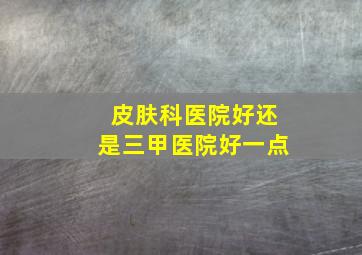 皮肤科医院好还是三甲医院好一点