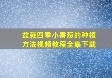 盆栽四季小香葱的种植方法视频教程全集下载