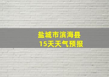 盐城市滨海县15天天气预报