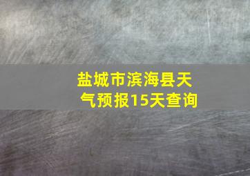 盐城市滨海县天气预报15天查询