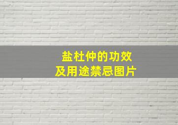 盐杜仲的功效及用途禁忌图片