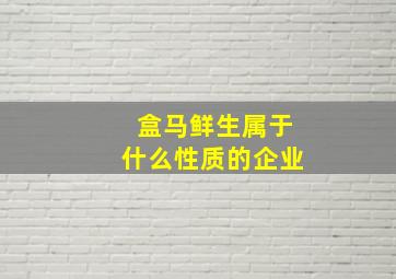 盒马鲜生属于什么性质的企业