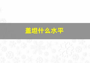 盖坦什么水平