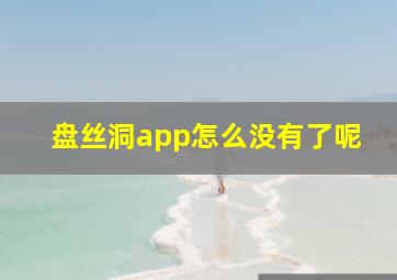 盘丝洞app怎么没有了呢