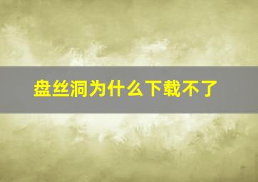 盘丝洞为什么下载不了