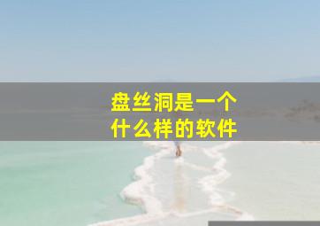 盘丝洞是一个什么样的软件