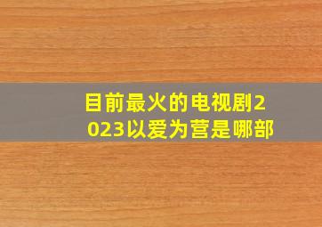 目前最火的电视剧2023以爱为营是哪部